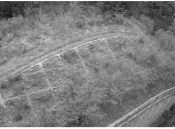 Fig. 15. Slope protection and reinforcement method installed in cut slopes