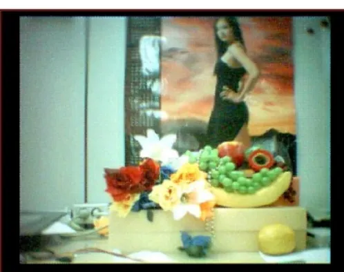Fig. 8. Image picture quality estimation result.
