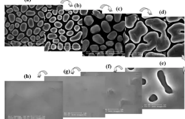 Fig. 1 \ " f_  SEM_  ³ ð    ¸_ þ v`  ¦ :  x K " f SOS r « Ñ _