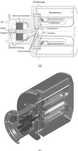 Fig.  1  (a)  Two-dimensional  view  and  (b)  cross-sectional 