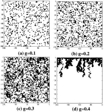 Fig. 2. The configurations of the grain movement ob- ob-tained at t = 10000 where p = 0.5, s = 0.02