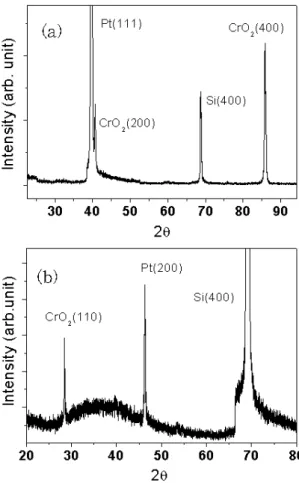 Fig. 2. The x-ray patterns of the CrO 2 thin films grown on preferentially oriented (a) (111) and (b) (200) Pt/TiO 2 /SiO 2 /Si substrates.