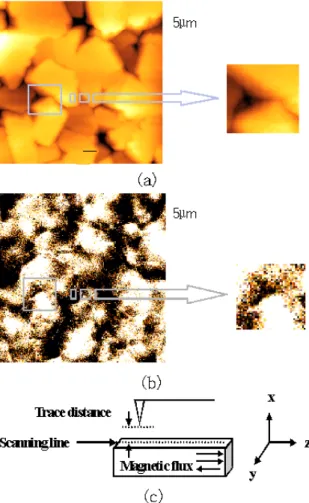 Fig. 5. The (a) AFM and (b) MFM images of the (110) oriented CrO 2 thin films. (c) schematic figure of the position of the cantilever’s tip on the inclined grain with a fixed trace distance and the in-plane oriented magnetic flux during MFM scanning.