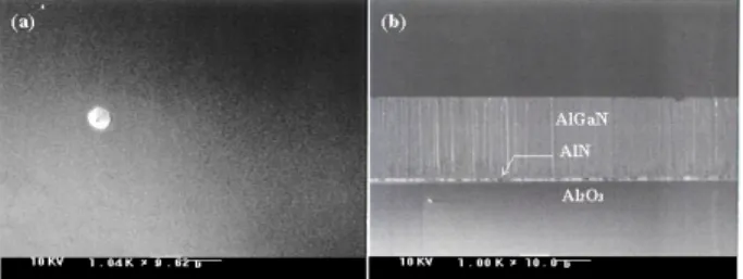 Fig. 1. SEM image of AlN buffer layer grown by MO- MO-HVPE system.