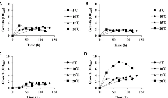 Fig. 1. Effect of temperature on growth of Antarctic microorganisms. (A) PAMC 25641, (B) PAMC 25614, (C) PAMC 25719, (D) PAMC 25617.