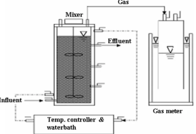 Figure 1. Schematic diagram of CSTR