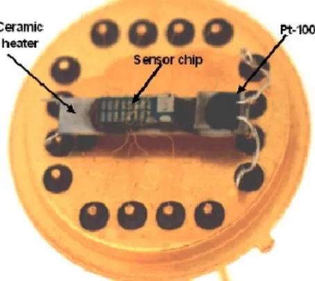 Fig. 1. Optical microscopy view of a gold plated 16-pin holder with samples and a heater welded to the pins.