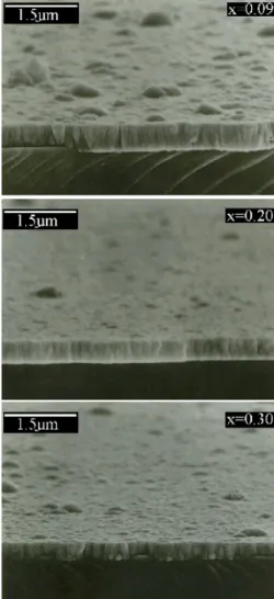 Fig. 5. SEM images of Ni x Fe 3 −x O 4 films with different composition parameter x.