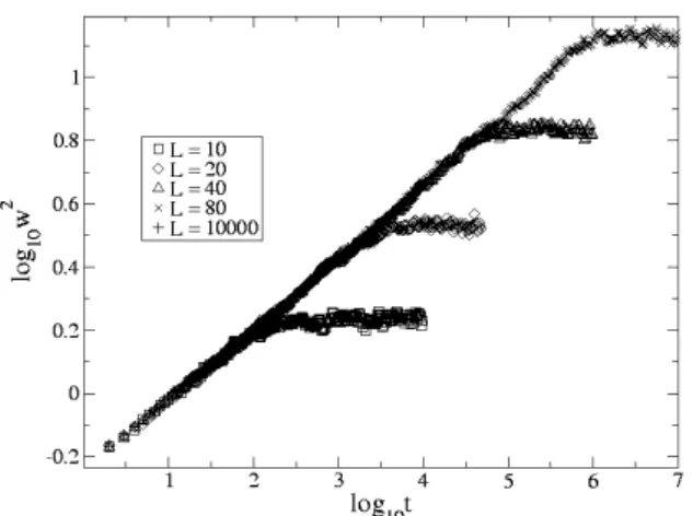 Fig. 2. The saturated value W 2 (L) of the CNRSOS model for L = 10, 20, 40, 80. α = 0.49 ± 0.01 is obtained from the data.