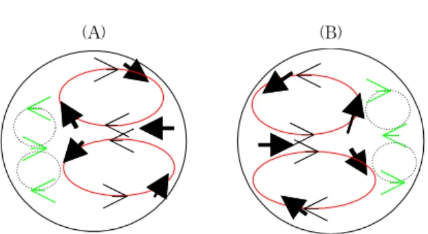 Fig. 3 Schematics of the flow patterns: (A), the case accelerated to the right; (B), the case accelerated to the left.