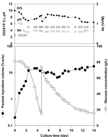 Fig. 3. Fed-batch culture profile of  C. aurantiaca using modi- modi-fied yeast-maltose (YM) broth in 300 L fermenter.