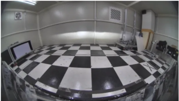 Fig. 1 Example of calibration ground