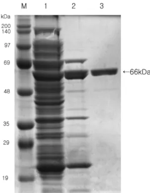 Fig. 2. Comparison of the 5' →3' exonuclease activity of ∆Tod polymerase with that of Tod polymerase