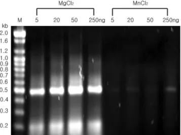 Fig. 4. Reverse transcription and PCR amplification by either  ∆Tod pol or Taq pol. The cDNA synthesis and amplification with primer pair 16s-F/16s-R and total RNA of  E
