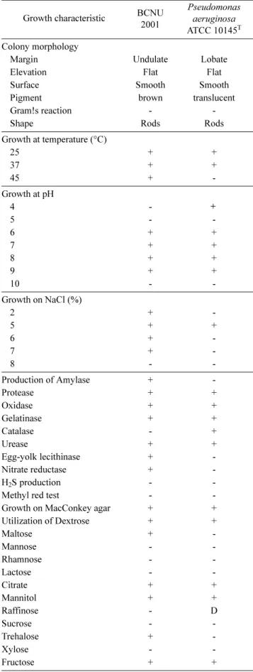 Table 1. Differential characteristics of strain BCNU 2001 in comparison with related Pseudomonas aeruginosa.