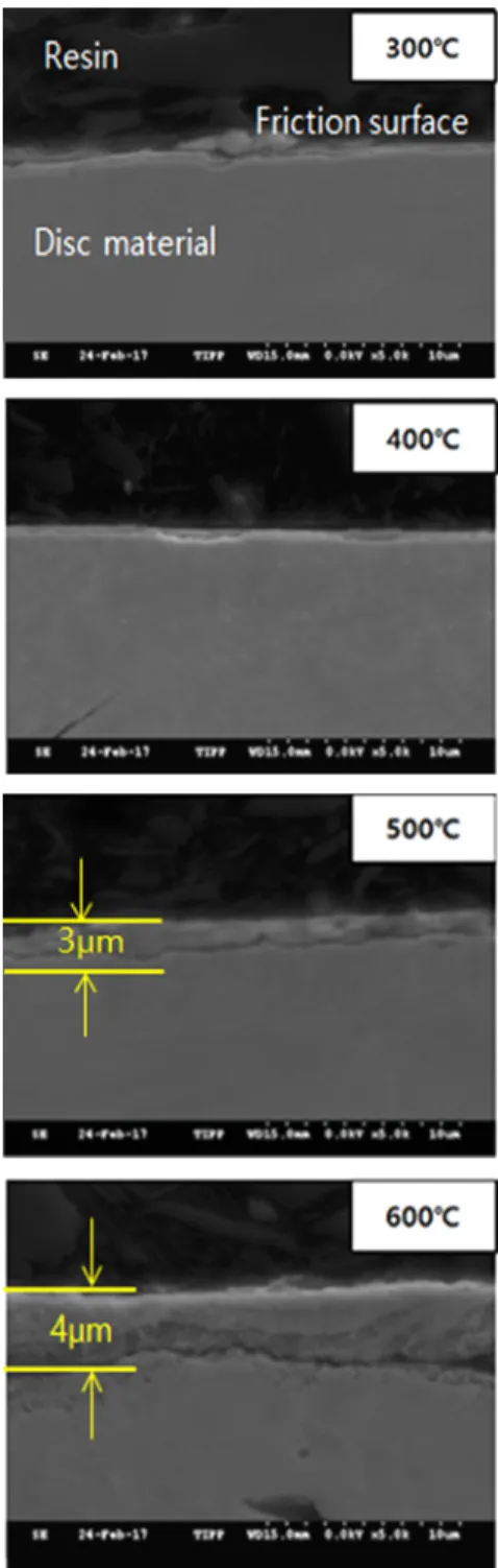 Fig. 3 SEM photos of friction surface of sectioned cast iron  rotor