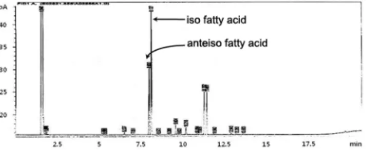 Fig. 6. HPLC chromatogram of isoprenoid quinone extract from  B. subtilis MORI.