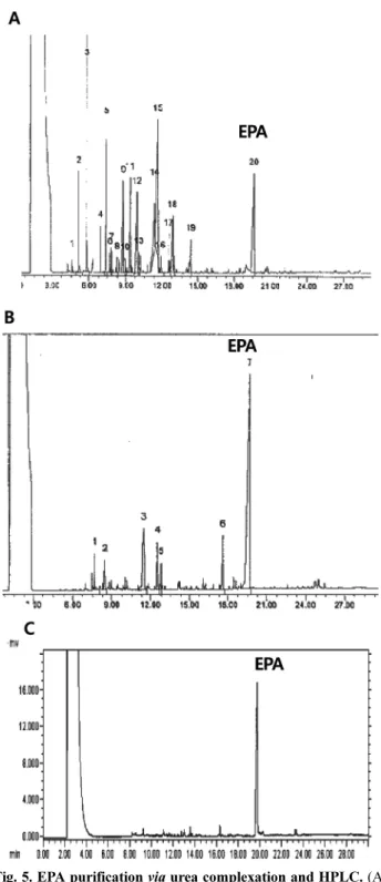 Fig. 5. EPA purification  via urea complexation and HPLC. (A) Total fatty acid ethyl ester analysis of  Shewanella sp