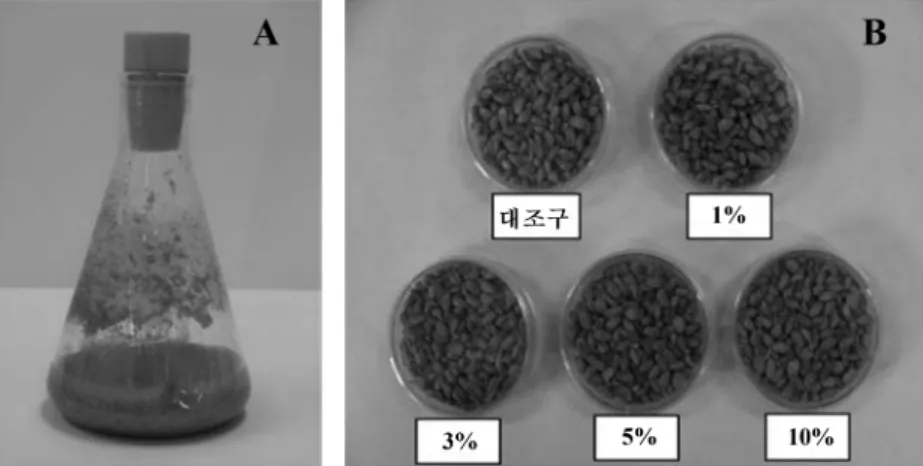 Fig. 1. Wheat liquid starter and wheat  nuruks manufactured in this study. Symbols : A; Wheat liquid starter, B; wheat nuruks inocu- inocu-lated with different inoculation rate of starter.