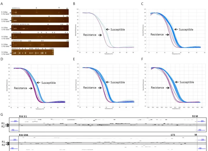Fig. 4 PCR amplification patterns for Bph1 and Wbph  using specific primers on agarose and fragment analyzer gel electrophoresis