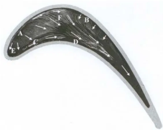 Fig.  7  Fow  visualization  for  squealer  tip  (Tu  =  0.3%)