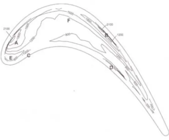 Fig.  10  Contours  of  Sh  for  squealer  tip  (Tu  =  15%) 이르러  조금  증가  후  감소한다.  x/b가  0.50인  경우(Fig