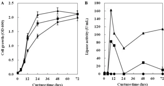 Fig. 4. Time course of lipolytic enzyme activities in the strain Y124 at different concentration of olive oil
