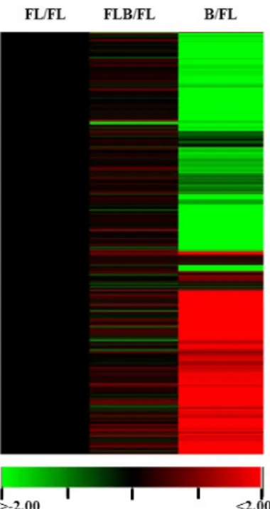 Fig. 2 Overview of light-regulated genome expression by cluster display: Hierarchical clustering analysis was performed with  genes up or down regulated twofold above by light condition  in each light quality