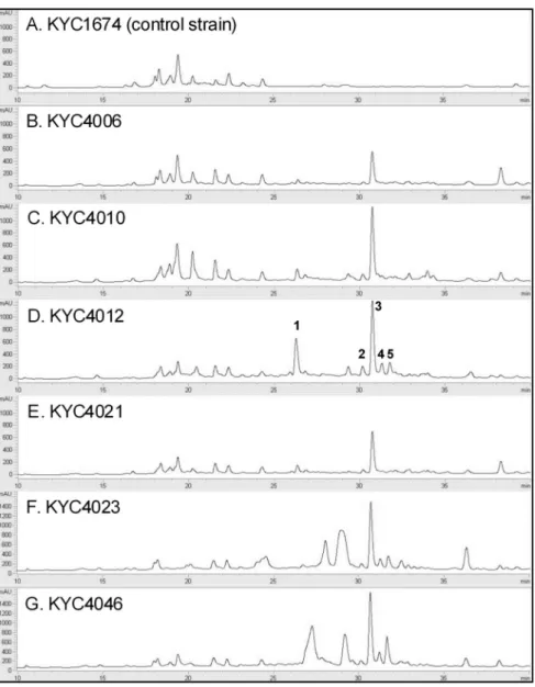 Fig. 2. Chromatograms showing the high-performance liquid chromatography (HPLC) results for the culture extracts of the selected C