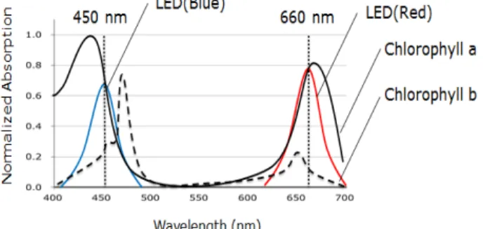 Fig. 1 Optical absorption spectrum of chlorophyll ratio is  applied