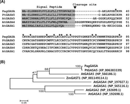 Fig. 3 The tissue-specific expression level of PagGASA.. 