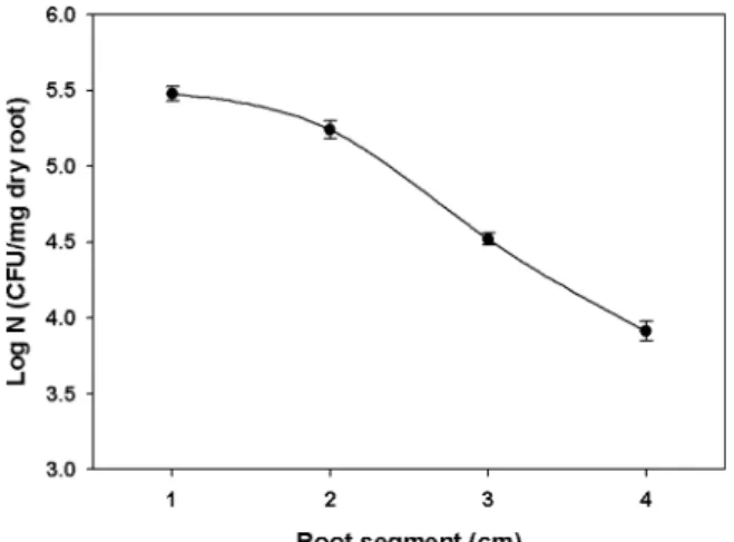 Fig. 5. The plant growth promotion by P. fluorescens 2112 on the seed germination of red-pepper