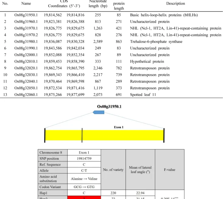 Fig. 4 Haplotype analysis of the sequence covering the candidate gene Os08g31950 on chromosome 8 coding regions in 294 rice  accessions and phenotypic variation among different haplotype