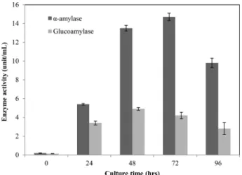 Fig. 1. Changes in enzyme activities of liquid starter during culture time. The optimum condition of liquid starter was 5%