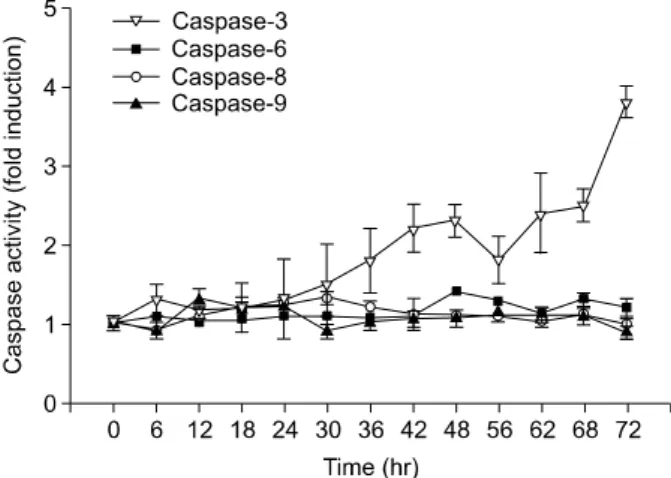 Fig.  3.  FK506  did  not  increase  the  catalytic  activity  of  caspase  -6,  -8,  and  -9  proteases  of  Jurkat  cells  in  a  time-dependent  manner