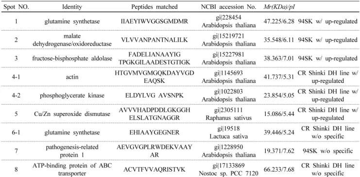 Table 1 Identification of the proteins showing differential expression in the roots from 94SK and CR Shinki DH lines