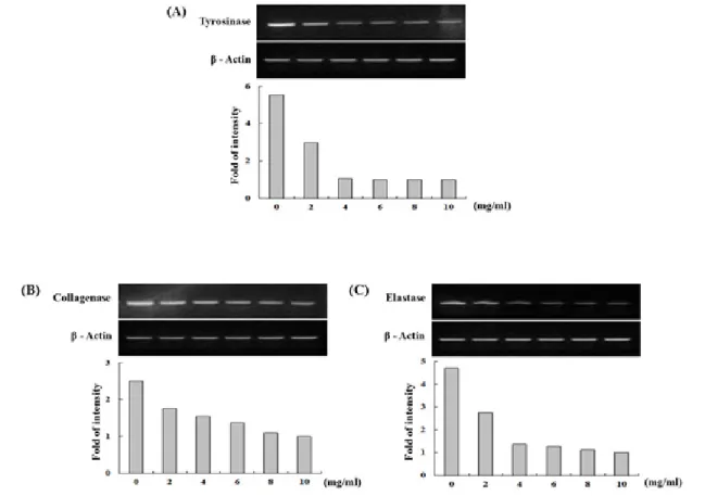 Fig. 3 Dose-dependant  DPPH free radical scavenging rate of  Cistanche deserticola extracts