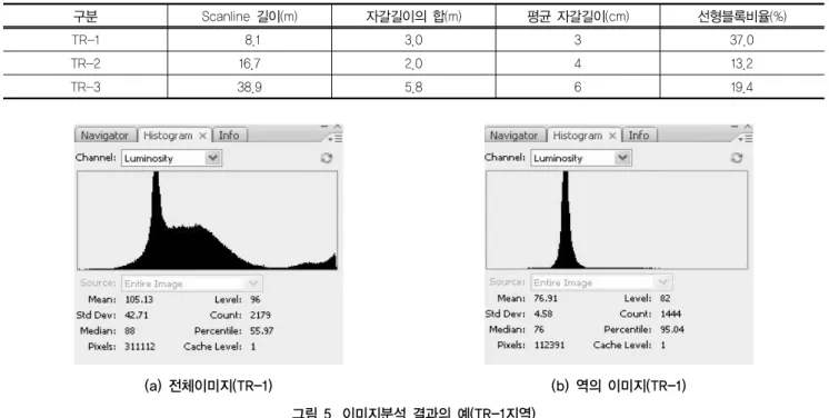 표 3. 역의 분포비율(스캔라인) 구분 Scanline 길이(m) 자갈길이의 합(m) 평균 자갈길이(cm) 선형블록비율(%) TR-1  8.1 3.0 3 37.0 TR-2 16.7 2.0 4 13.2 TR-3 38.9 5.8 6 19.4 (a) 전체이미지(TR-1) (b) 역의 이미지(TR-1) 그림 5