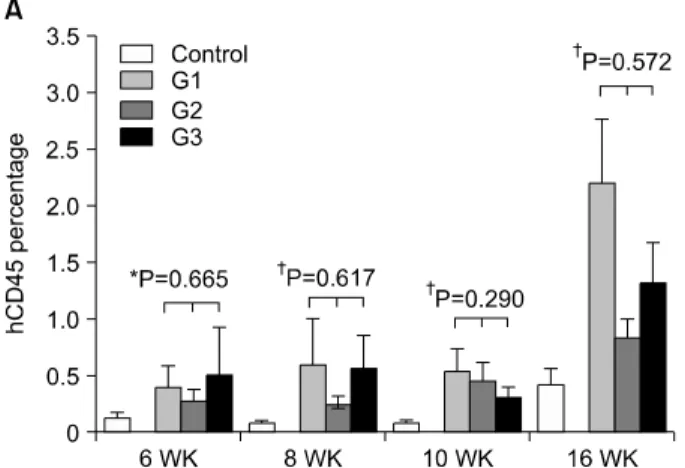 Fig.  1.  Human  cell  reconstitution  of  recipient  peripheral  blood.  (A)  Time  course  of  hCD45 +   cells  of  peripheral  blood  from  recipients  after  transplantation