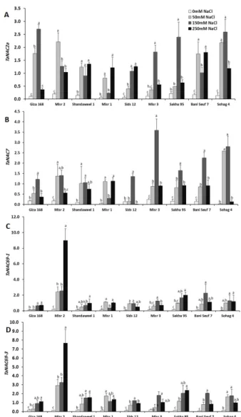 Fig. 4 Gene expression of (A) TaNAC2a, (B) TaNAC7, (C)  TaNAC69-1, and (D) TaNAC69-3. Data represent the mean fold  change in relative expression compared with the control samples,  normalized to the reference gene,  TaActin