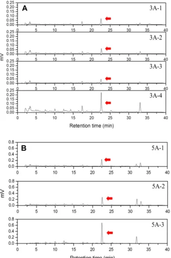 Fig. 5. HPLC chromatograms of washing solution after adsorbent treatment with a pore size of (A) 3.0-3.3 nm and (B) 4.6-5.2 nm