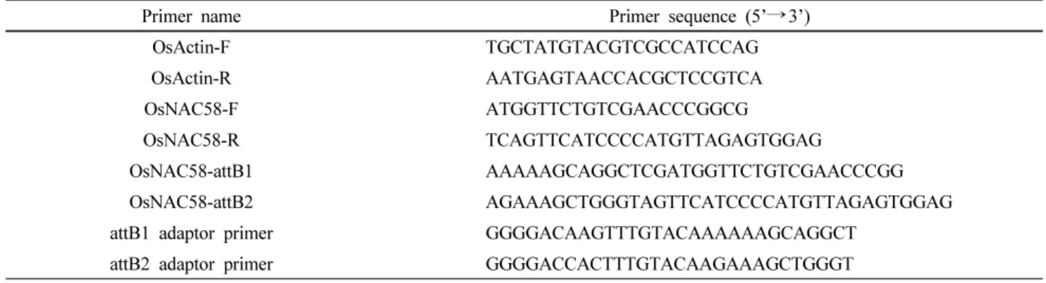 Table 1 List of primers used in this study