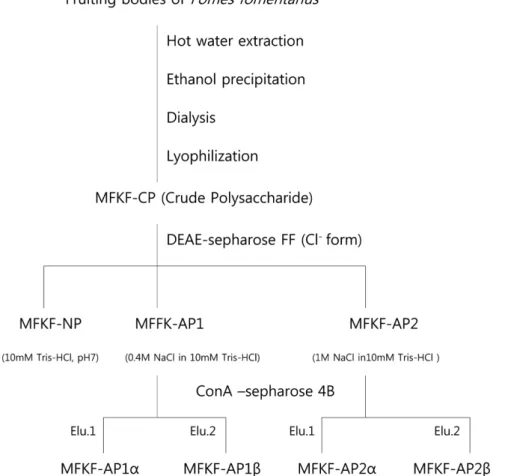 Fig. 2. Elution profiles of crude polysaccharides (MFKF-CP) on DEAE-sepharose FF column (Cl −  form  φ 5 × 50 cm).