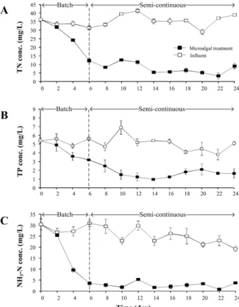 Fig. 1. The removal of total nitrogen (A), total phosphorus (B), and NH 3 -N (C). 