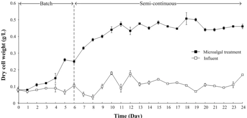 Fig. 2. Photographs of dominant microalgae cells visualized under a light microscope  × 1000 in the SSRP using municipal wastewater