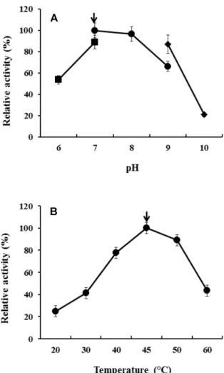 Fig. 3. Enzymatic properties of xylanase produced by strain HX-1. 
