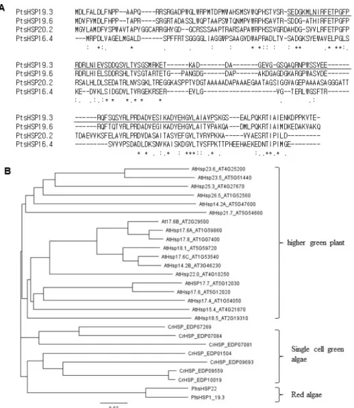 Fig. 1 Amino acid sequence alignment and phylogenic tree of PtsHSPs isolated from P. tenera