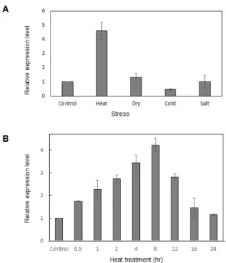 Fig. 3 Subcellular localizations of PtsHSP19.3
