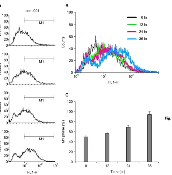 Fig.  4.  Increased  generation  of  H2O2  in  MPA  treated  Jurkat  cells. 