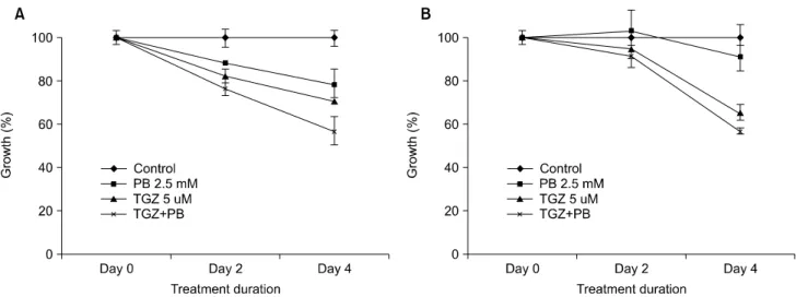 Fig.  6.  Changes  in  mRNA  expressions  of  CD  97,  sodium-iodide  symporter  (NIS)  and  thyroglobulin  (Tg)  after  Na-4-PB  treatment
